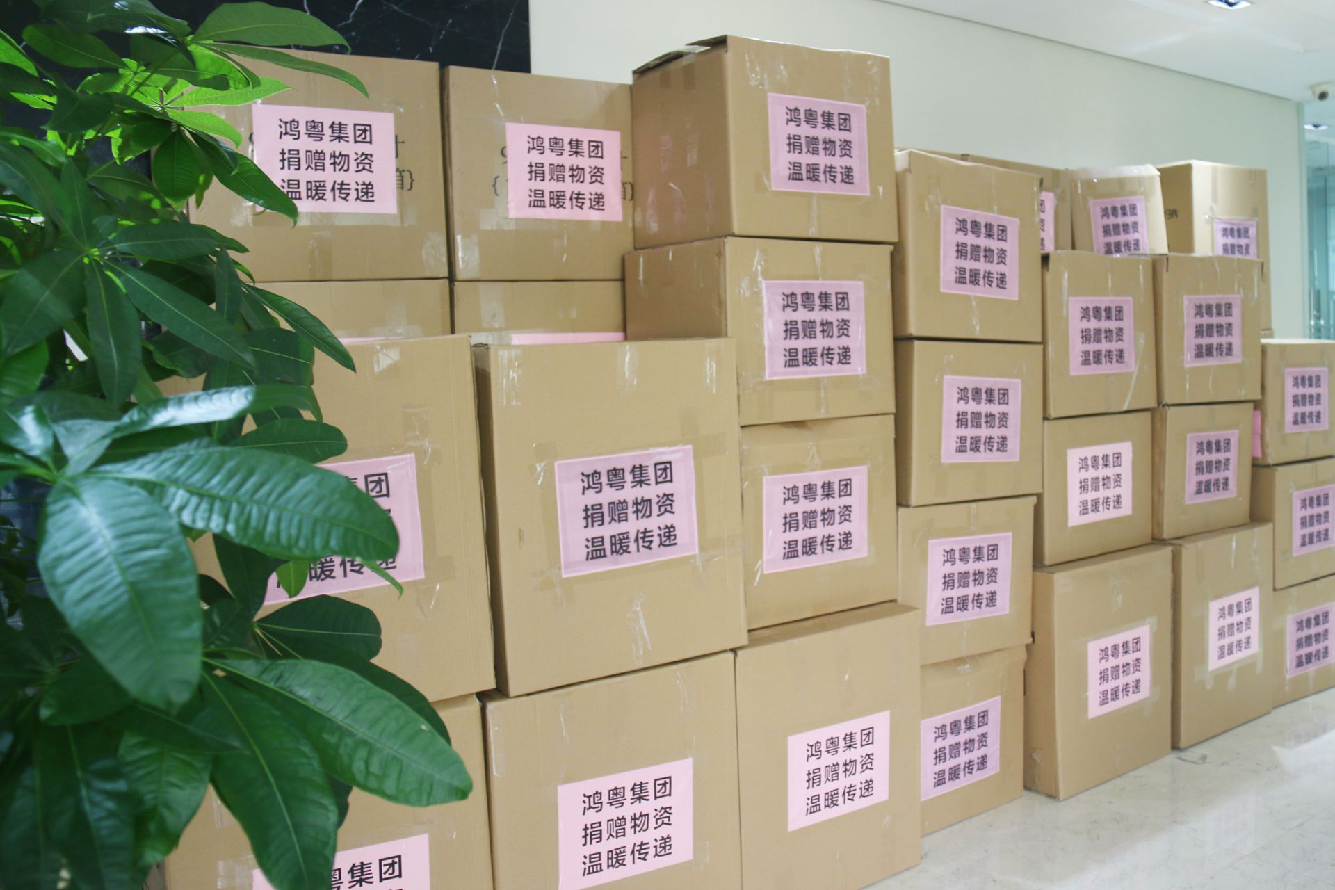 海口邹洪进口商品贸易有限公司公益回顾丨家国同欢月同圆 温暖满载甘孜州(图1)